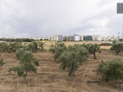 Bari, viaggio a Enziteto